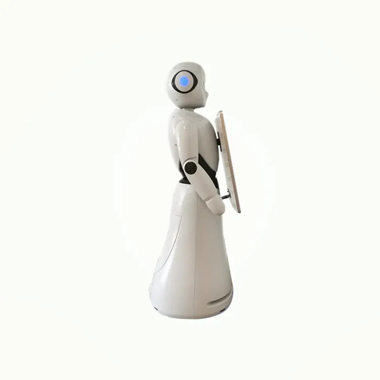 Humanoid Robot for information, customer service, and surveillance