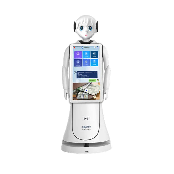 Humanoid Robot for information, customer service, and surveillance