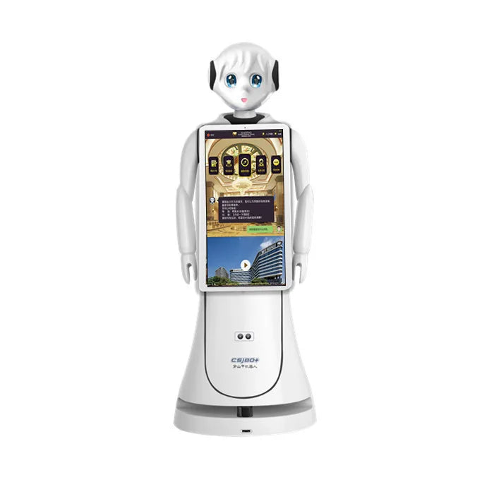 Humanoid Robot for information, customer service, and surveillance