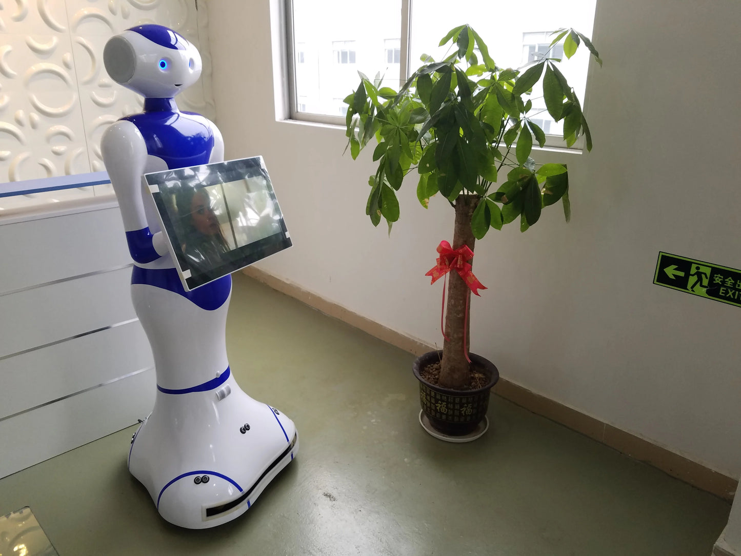 humanoid English speech robot artificial intelligence educational robot use in school museum application AI voice guide robot