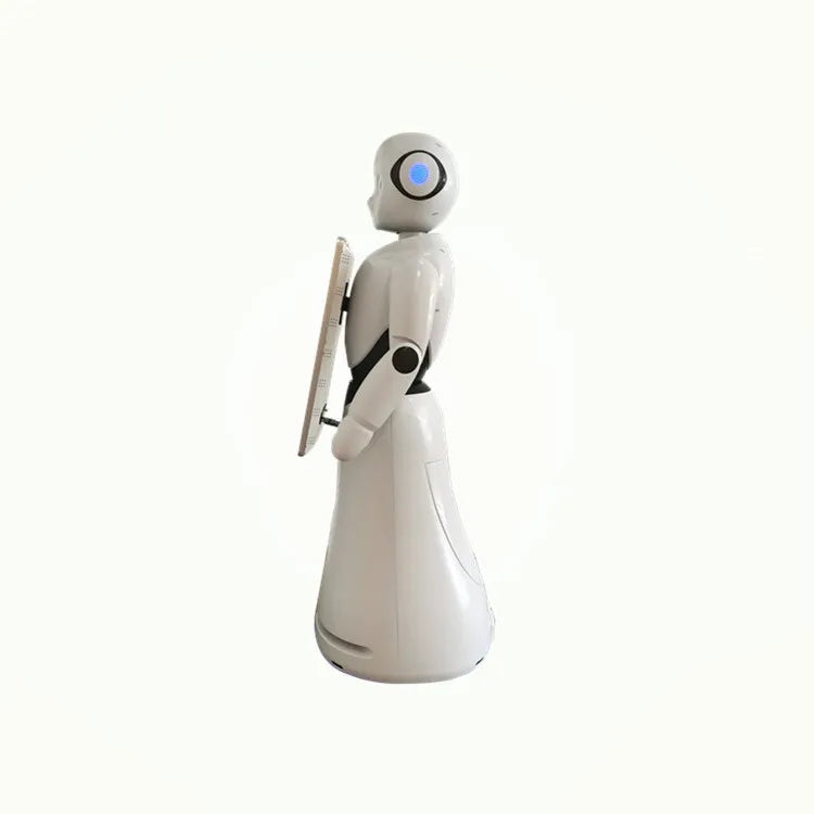 Humanoid Robot for information, customer service, and surveillance