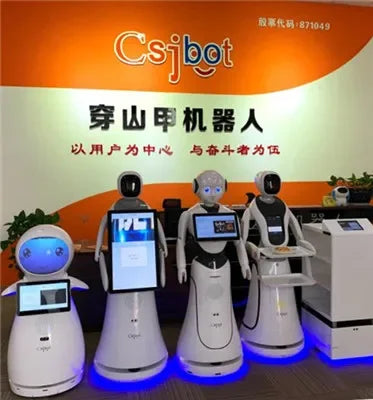 Humanoid AI Smart Guest and Welcome Robot for Airport